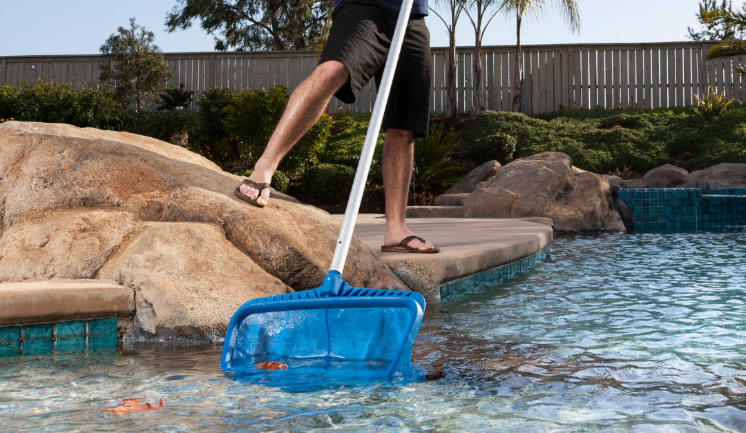 Three Tips for Maintaining a Clean and Pristine Pool This Summer