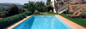 Large rectangular swimming pool oasis