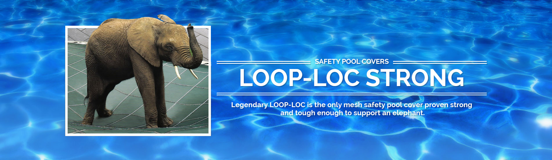 Loop Loc Strong banner image